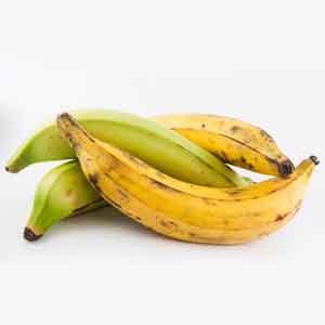 Plantains